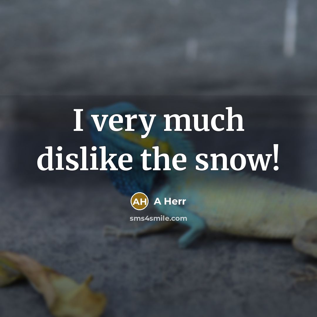 “I very much dislike the snow!…” quote by A Herr