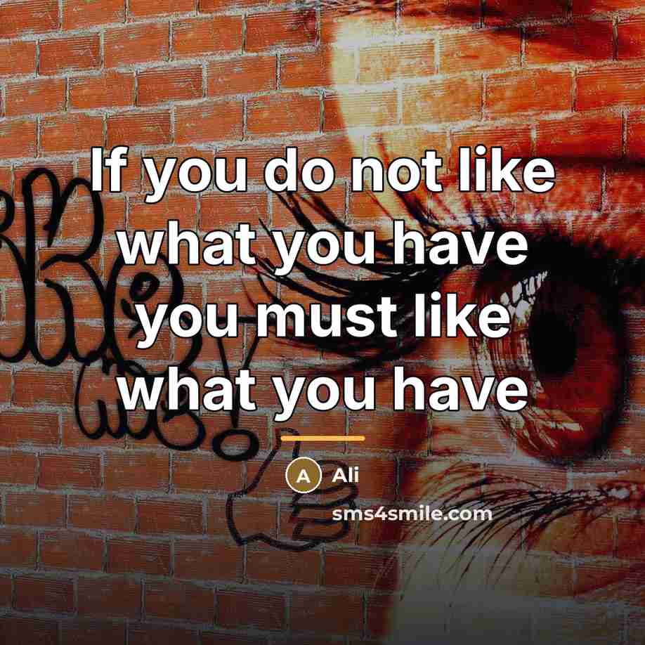 “If you do not like what you have you must…” quote by Ali