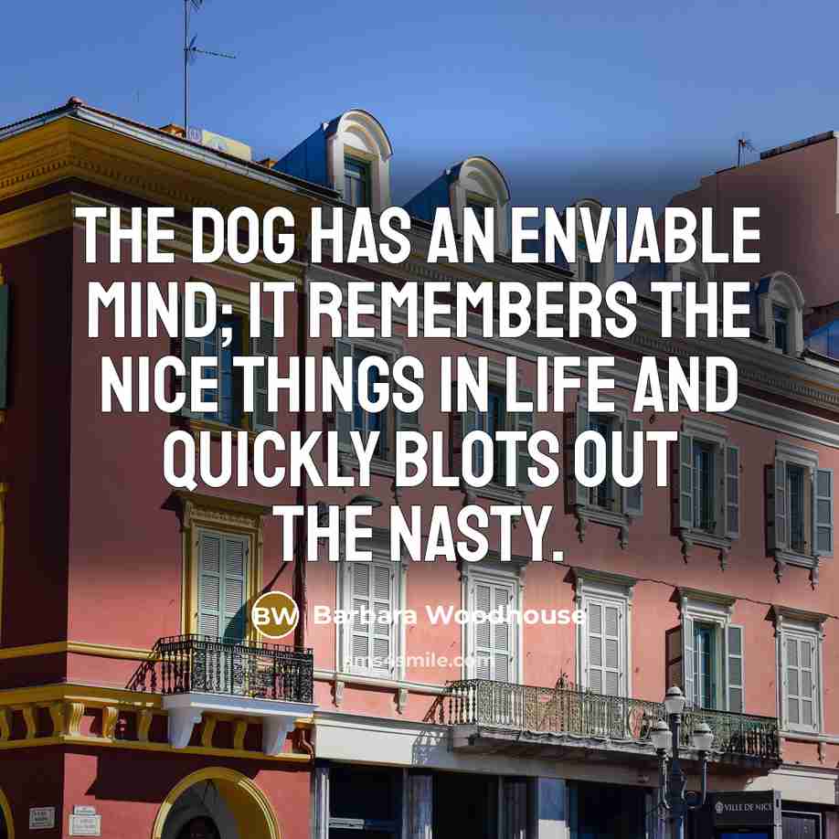 “The dog has an enviable mind; it remembers the nice…” quote by Barbara Woodhouse