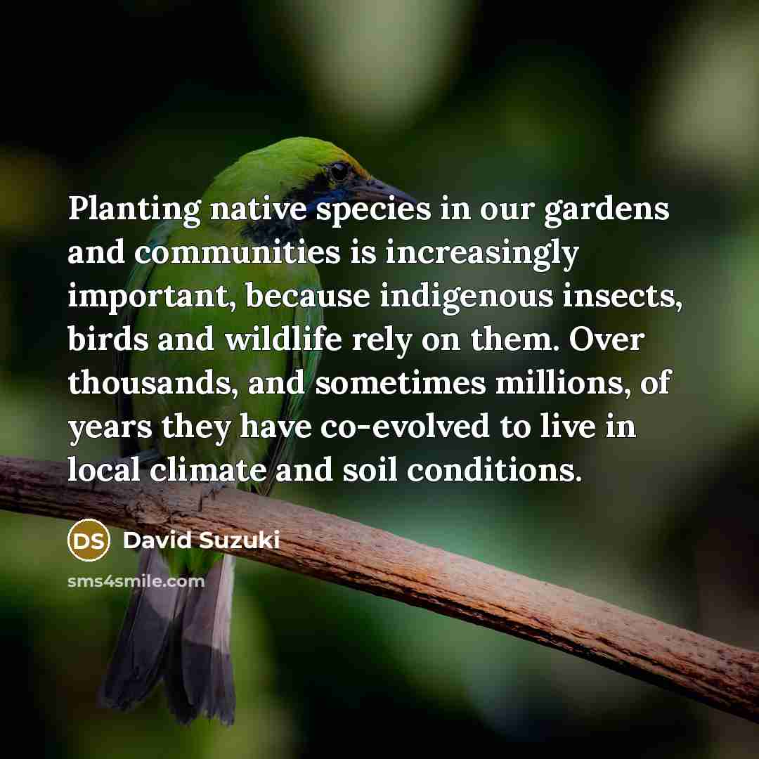 “Planting native species in our gardens and communities is increasingly…” quote by David Suzuki