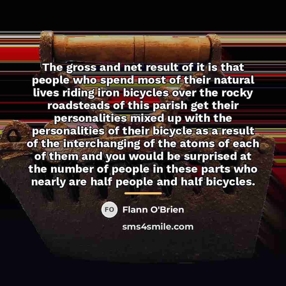 “The gross and net result of it is that people…” quote by Flann O'Brien
