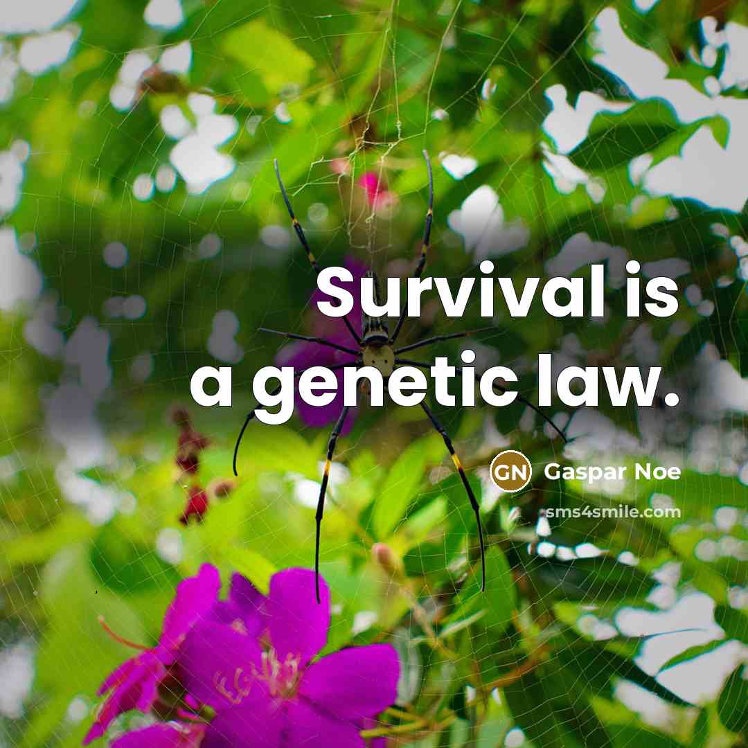 “Survival is a genetic law.…” quote by Gaspar Noe