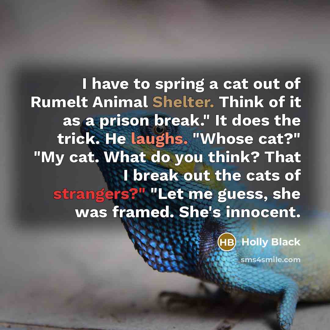 “I have to spring a cat out of Rumelt Animal…” quote by Holly Black