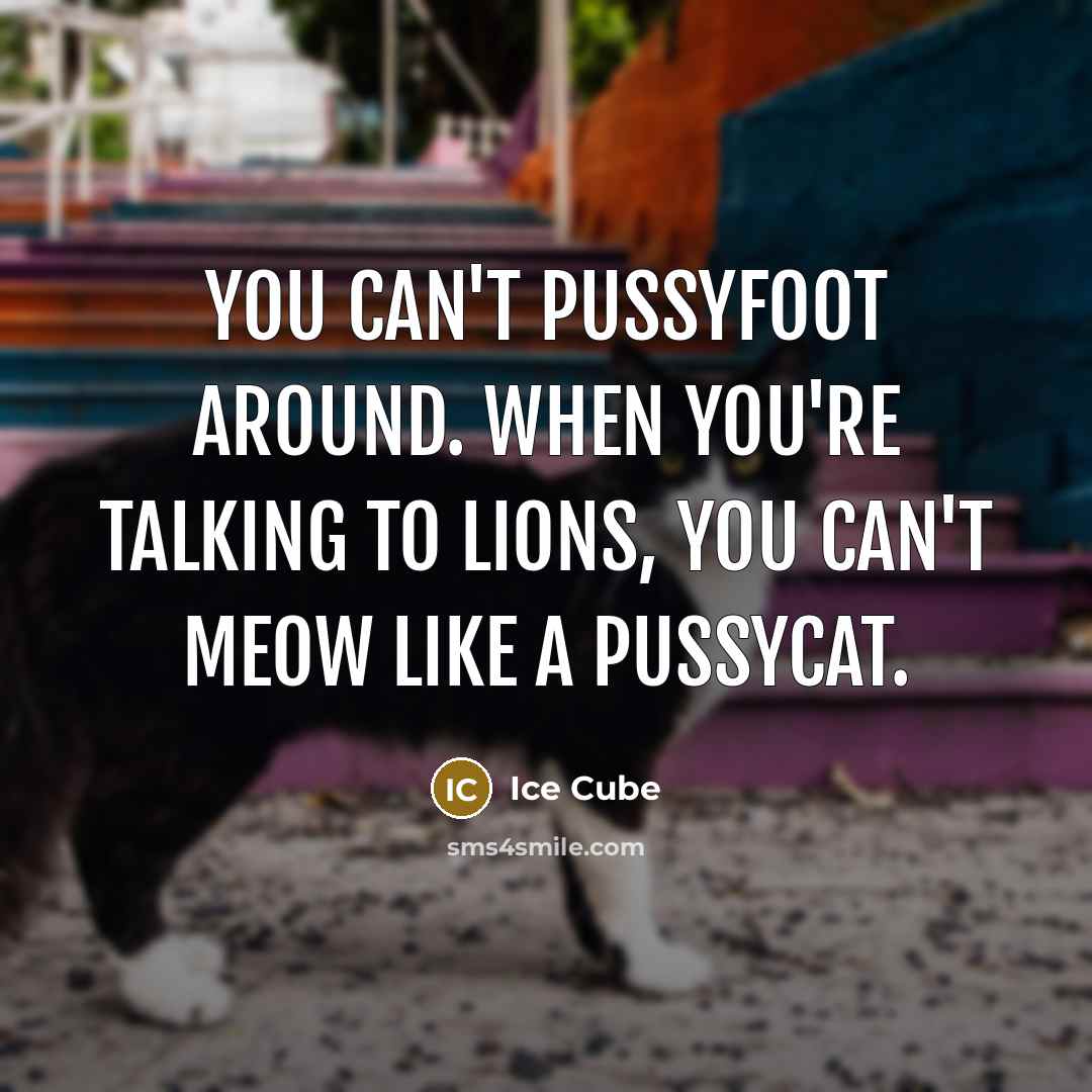 “You can't pussyfoot around. When you're talking to lions, you can't meow like a pussycat.” quote by Ice Cube