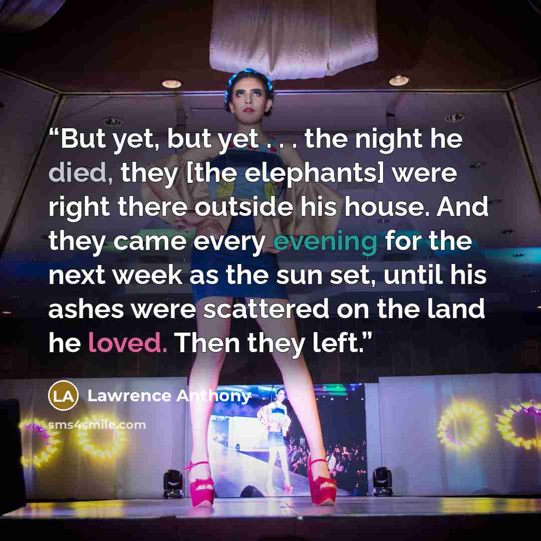“But yet, but yet . . . the night he died, they [the elephants] were right there outside his house. And they came every evening for the next week as the sun set, until his ashes were scattered on the land he loved. Then they left.” quote by Lawrence Anthony