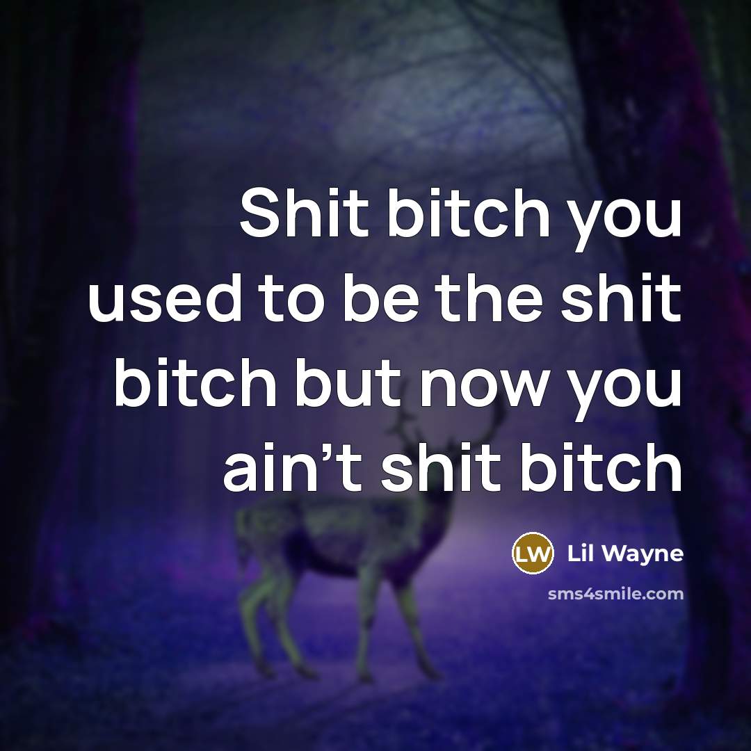 “Shit bitch you used to be the shit bitch but…” quote by Lil Wayne