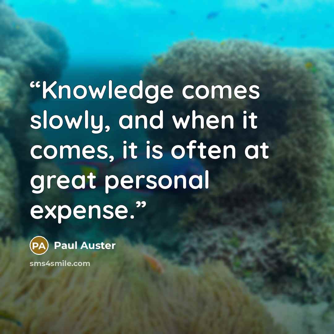 “Knowledge comes slowly, and when it comes, it is often at great personal expense.” quote by Paul Auster