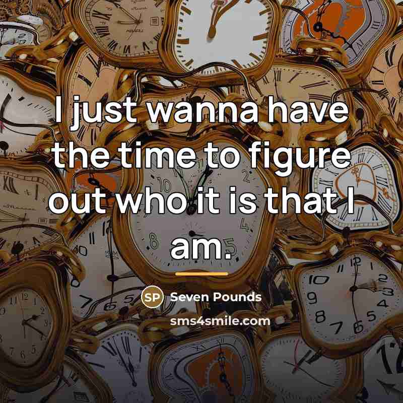 “I just wanna have the time to figure out who…” quote by Seven Pounds