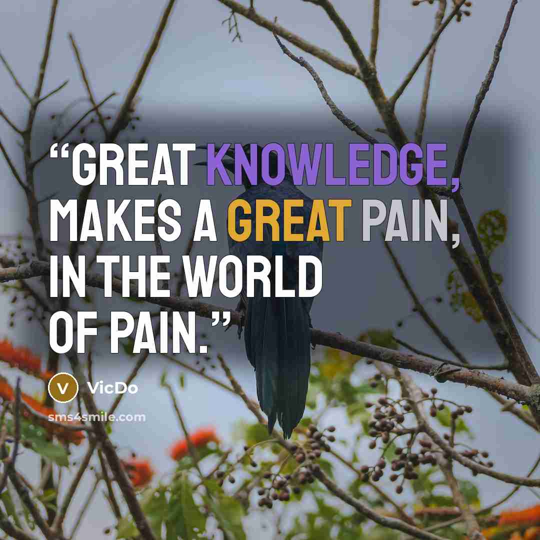 “Great knowledge, makes a great pain, in the world of pain.” quote by VicDo