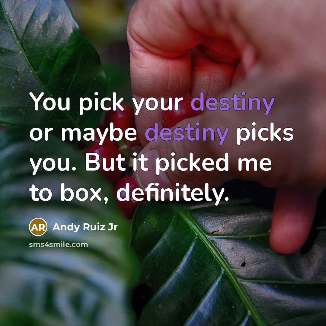 “You pick your destiny or maybe destiny picks you. But…” quote by Andy Ruiz Jr