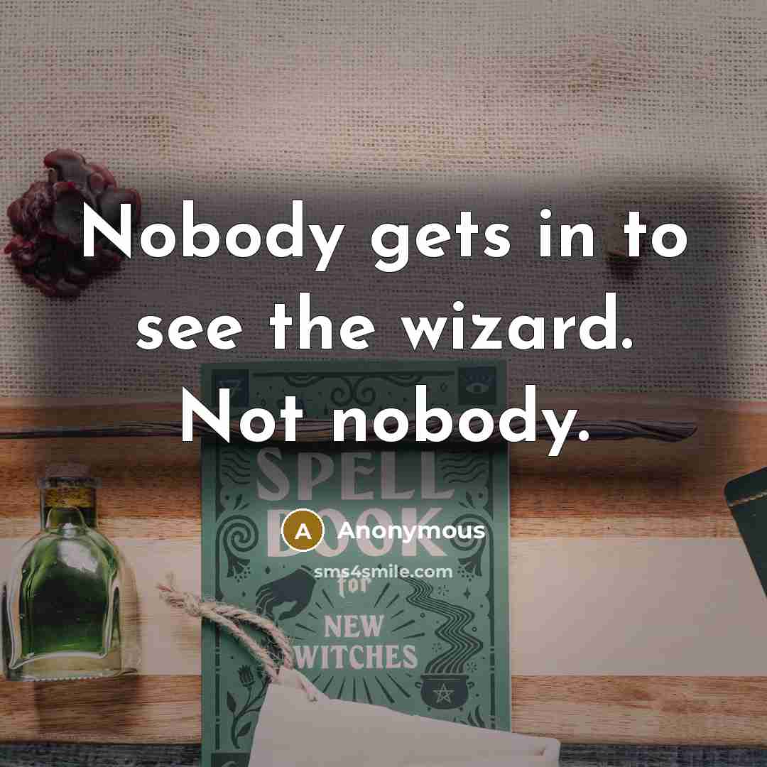 “Nobody gets in to see the wizard. Not nobody.…” quote by Anonymous