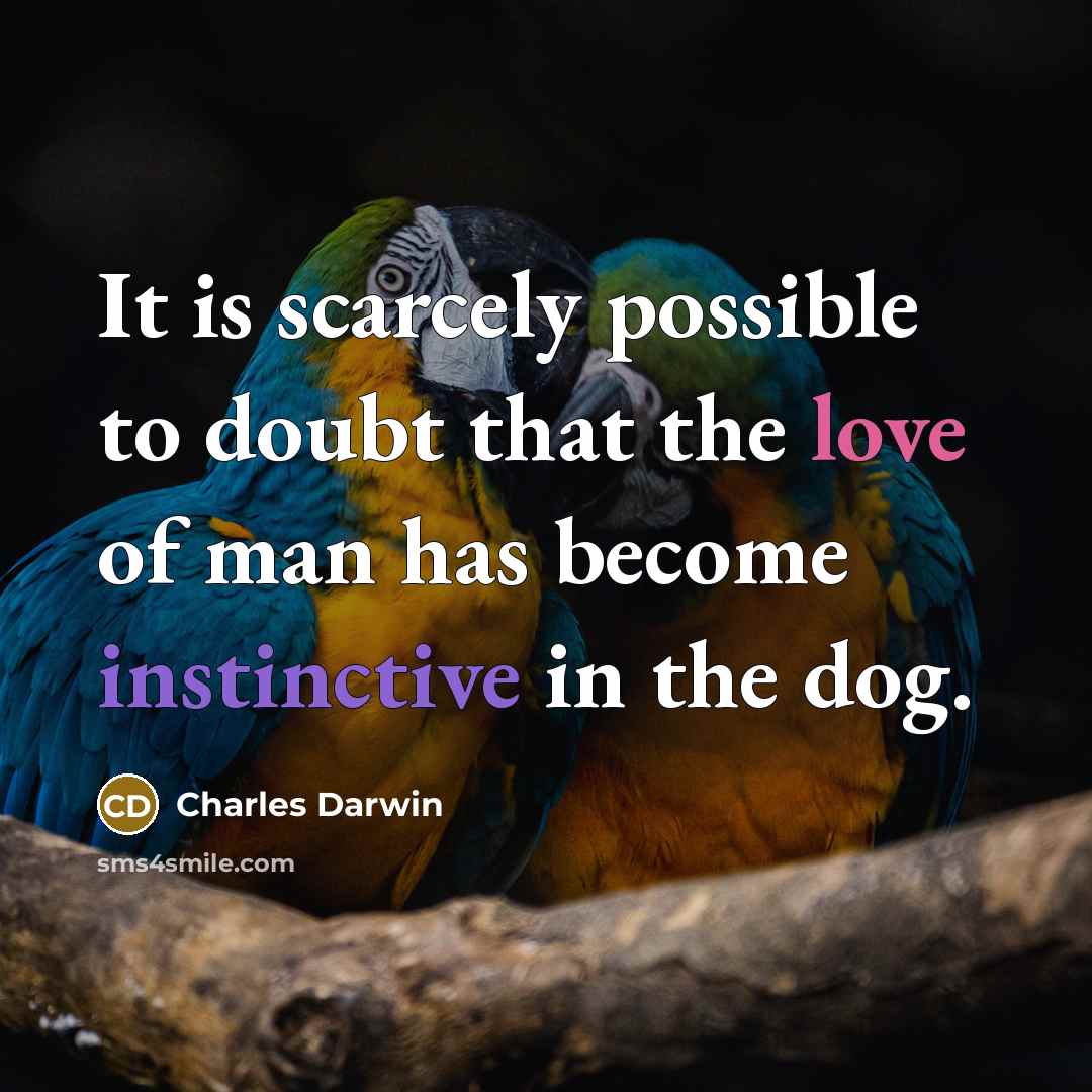 “It is scarcely possible to doubt that the love of man has become instinctive in the dog.” quote by Charles Darwin