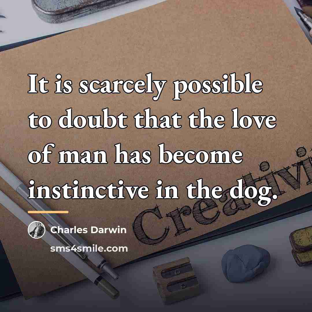 “It is scarcely possible to doubt that the love of…” quote by Charles Darwin