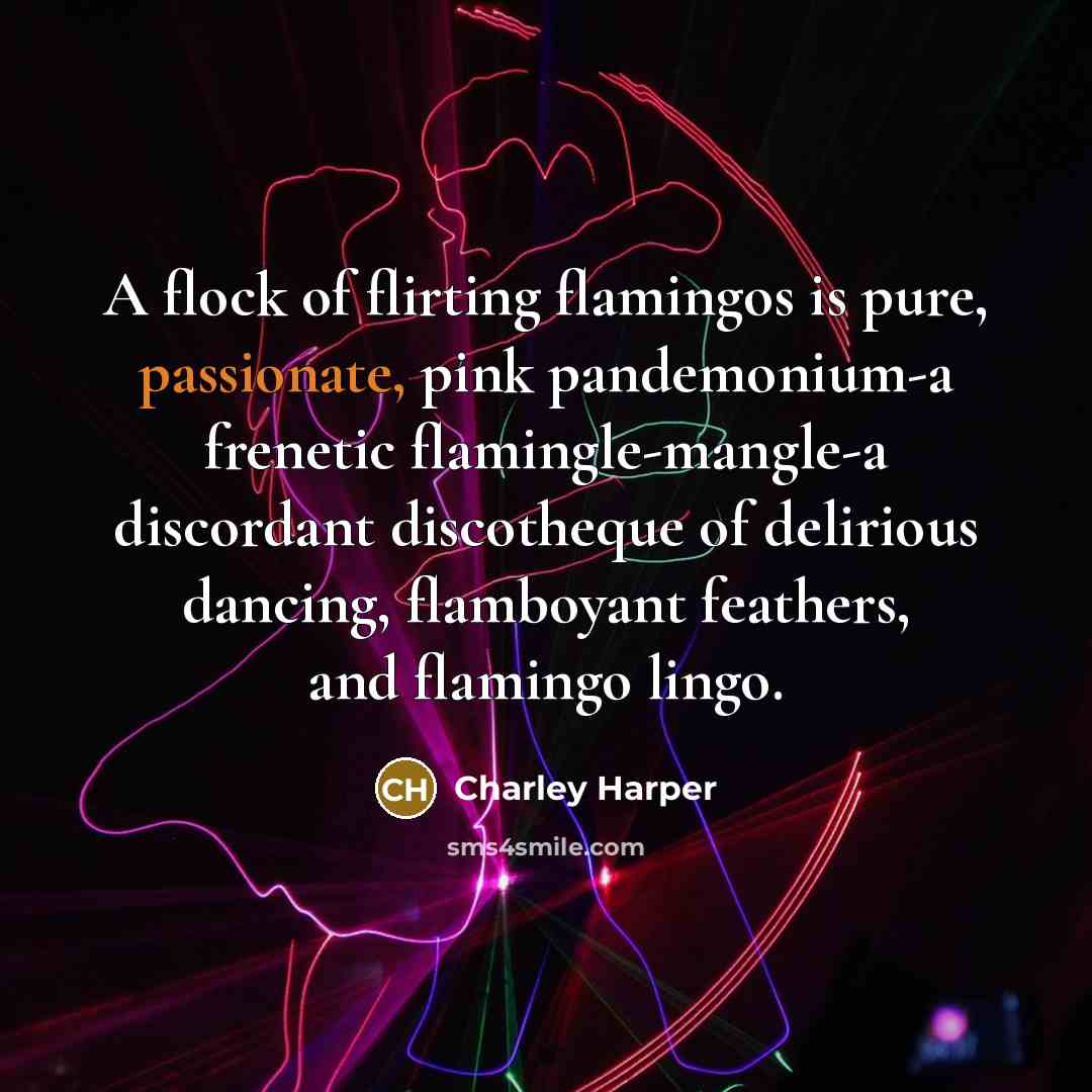 “A flock of flirting flamingos is pure, passionate, pink pandemonium-a…” quote by Charley Harper