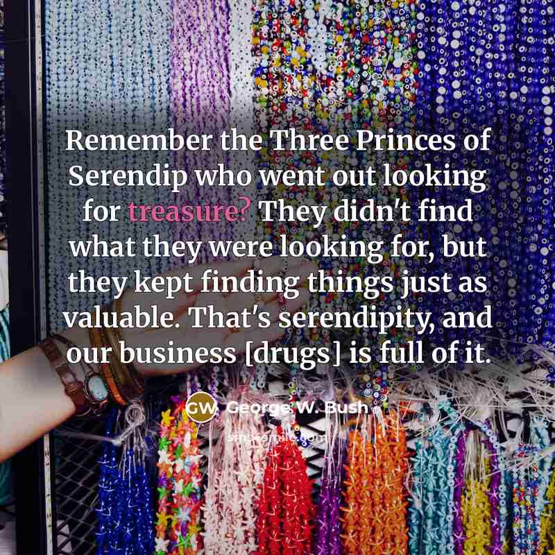“Remember the Three Princes of Serendip who went out looking…” quote by George W. Bush