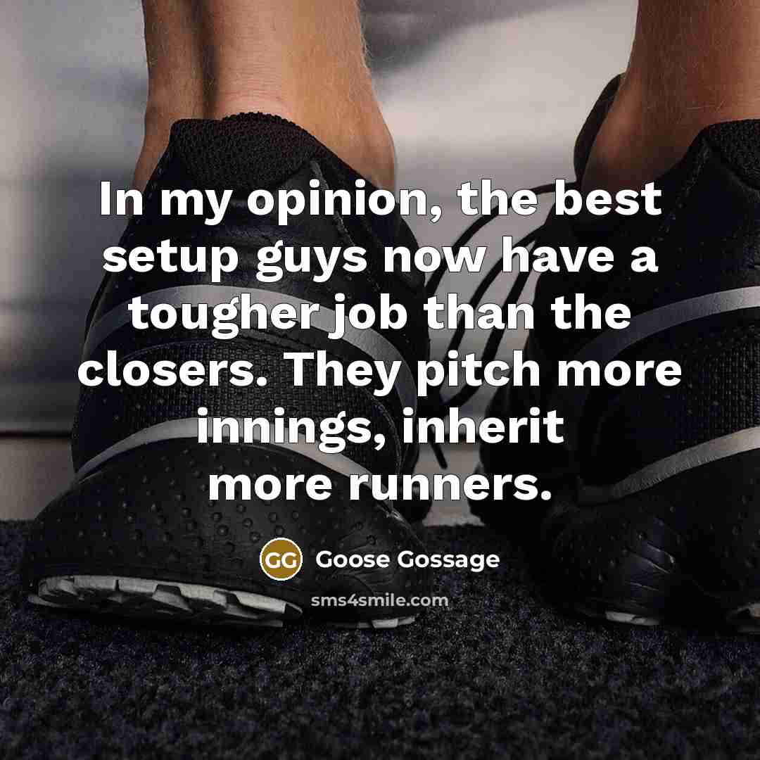 “In my opinion, the best setup guys now have a…” quote by Goose Gossage