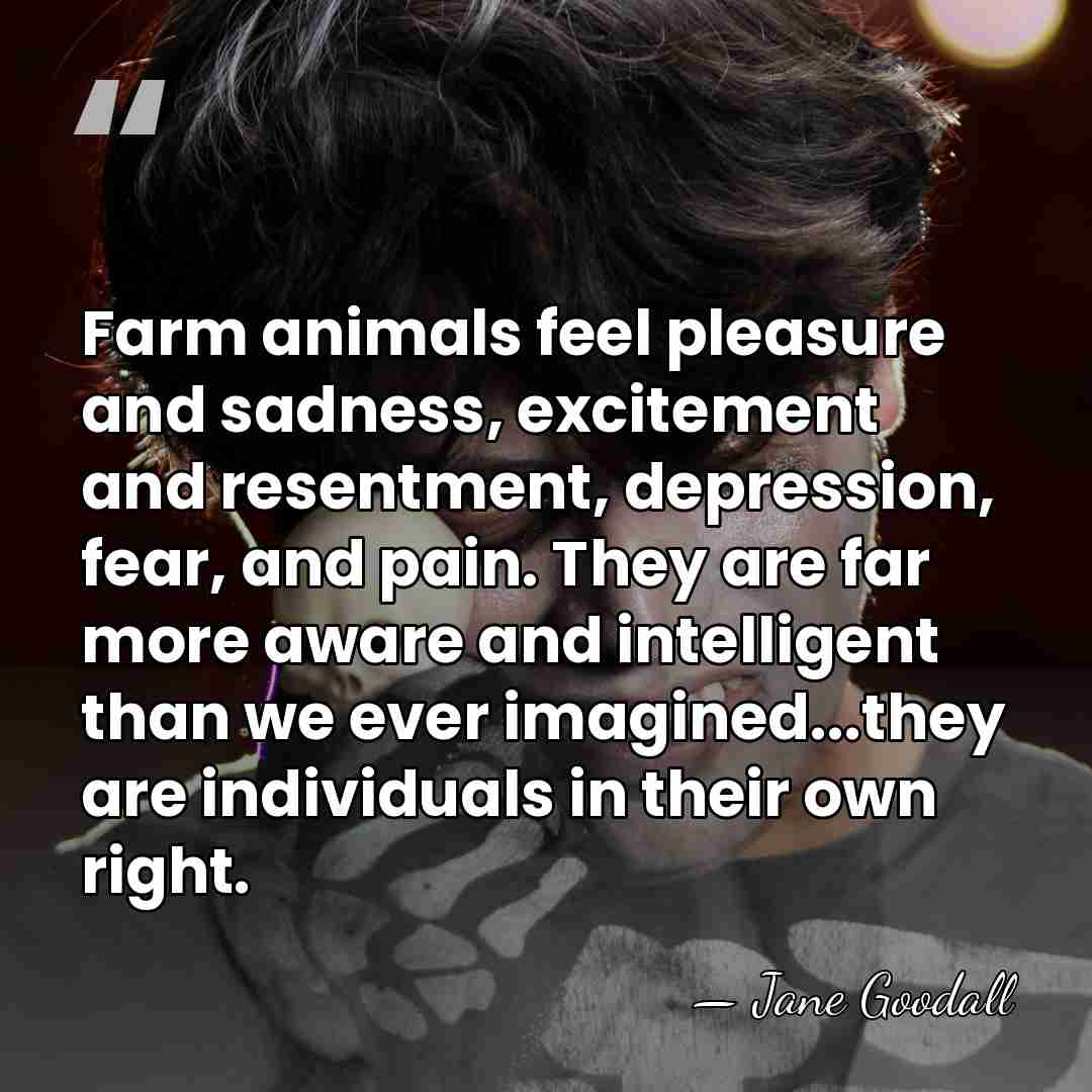 Farm animals feel pleasure and sadness, excitement and resentment, depression, fear, and&hellip; - Jane Goodall