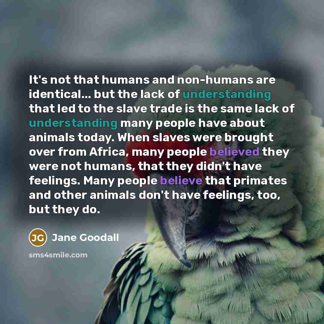 “It's not that humans and non-humans are identical... but the…” quote by Jane Goodall