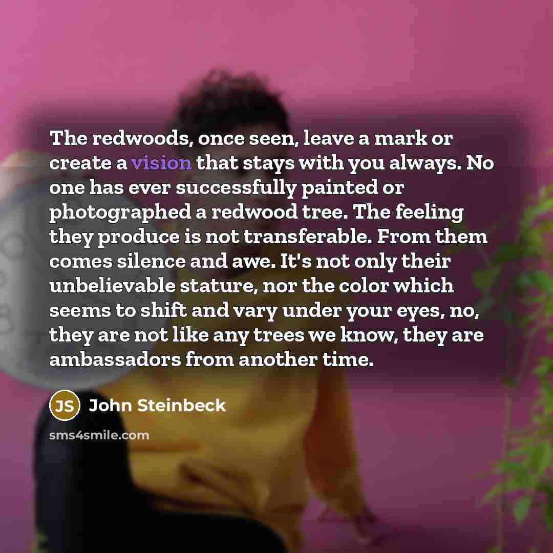 “The redwoods, once seen, leave a mark or create a…” quote by John Steinbeck