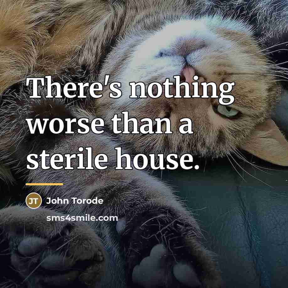 “There's nothing worse than a sterile house.…” quote by John Torode