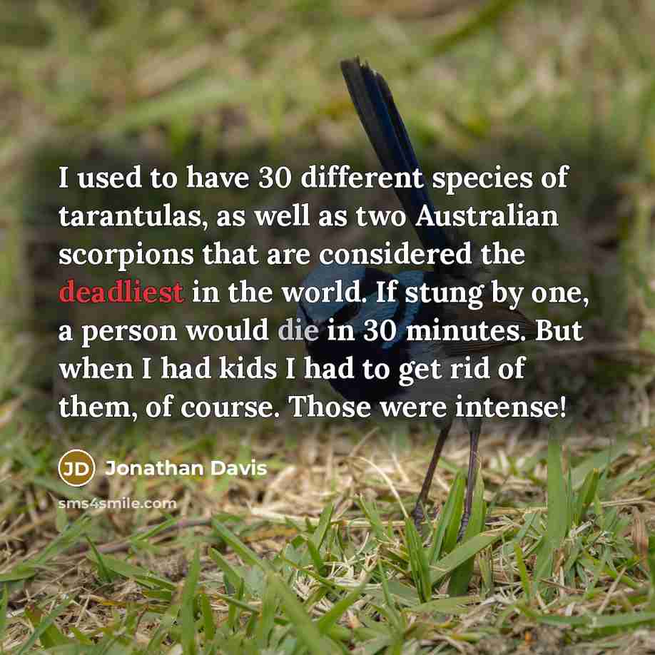 “I used to have 30 different species of tarantulas, as…” quote by Jonathan Davis