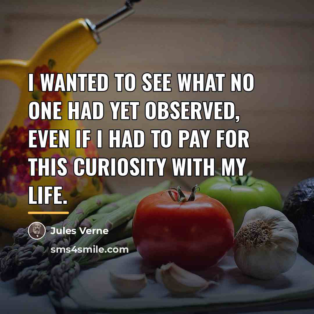 “I wanted to see what no one had yet observed,…” quote by Jules Verne