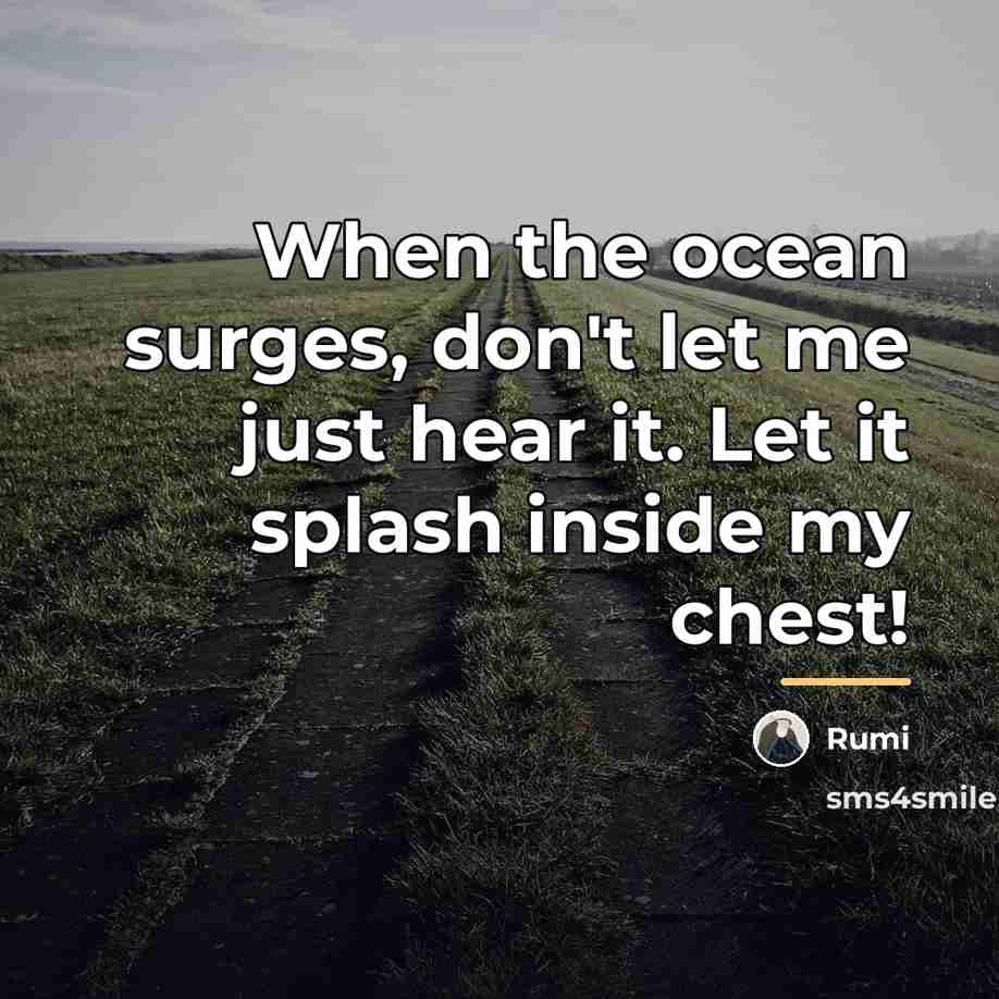 “When the ocean surges, don't let me just hear it.…” quote by Rumi