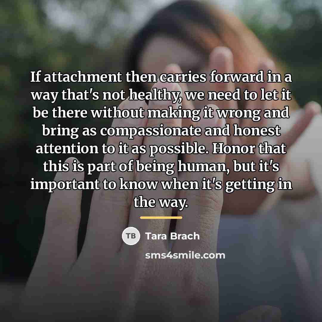 “If attachment then carries forward in a way that's not…” quote by Tara Brach