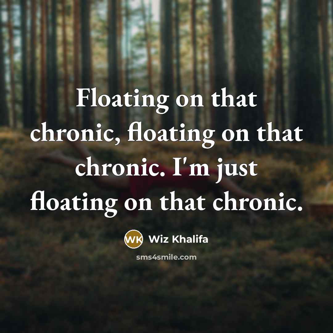 “Floating on that chronic, floating on that chronic. I'm just floating on that chronic.” quote by Wiz Khalifa