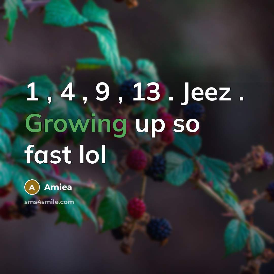“1 , 4 , 9 , 13 . Jeez . Growing up so fast lol” quote by Amiea