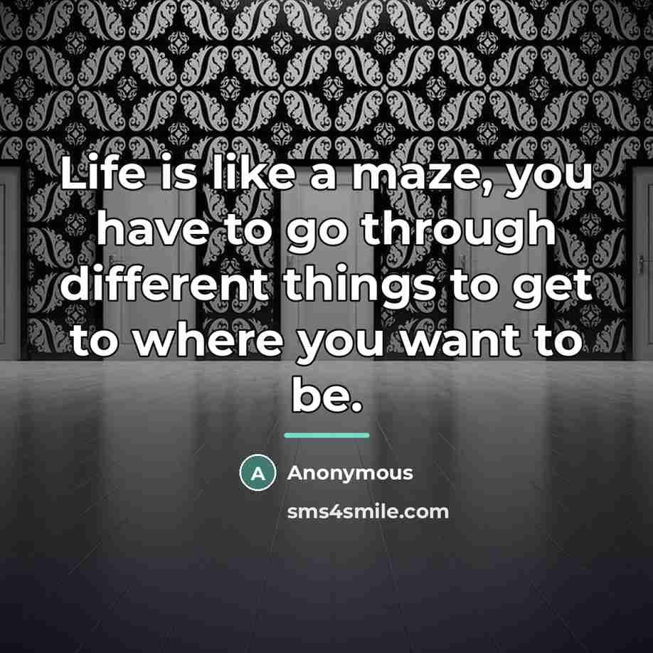 “Life is like a maze, you have to go through…” quote by Anonymous