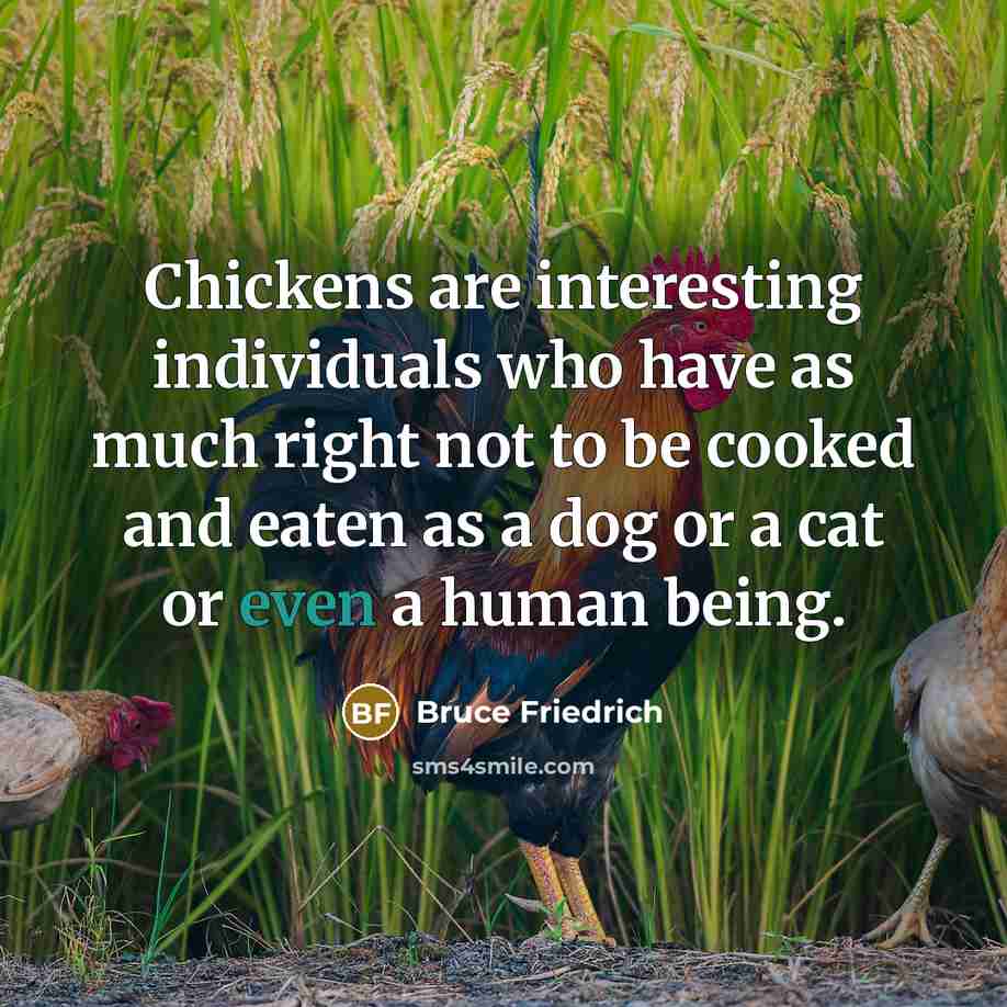 “Chickens are interesting individuals who have as much right not…” quote by Bruce Friedrich