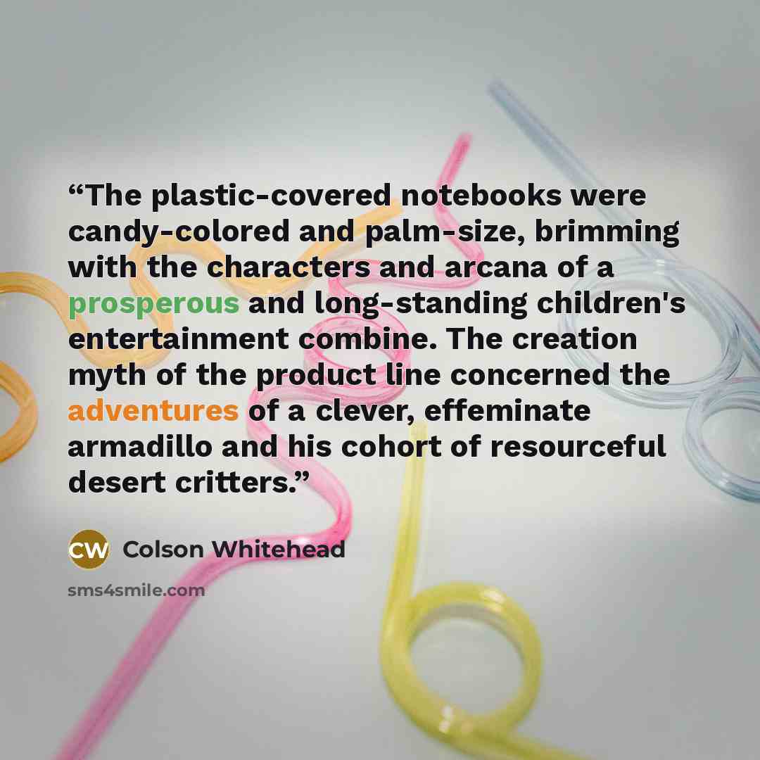 “The plastic-covered notebooks were candy-colored and palm-size, brimming with the characters and arcana of a prosperous and long-standing children's entertainment combine. The creation myth of the product line concerned the adventures of a clever, effeminate armadillo and his cohort of resourceful…” quote by Colson Whitehead