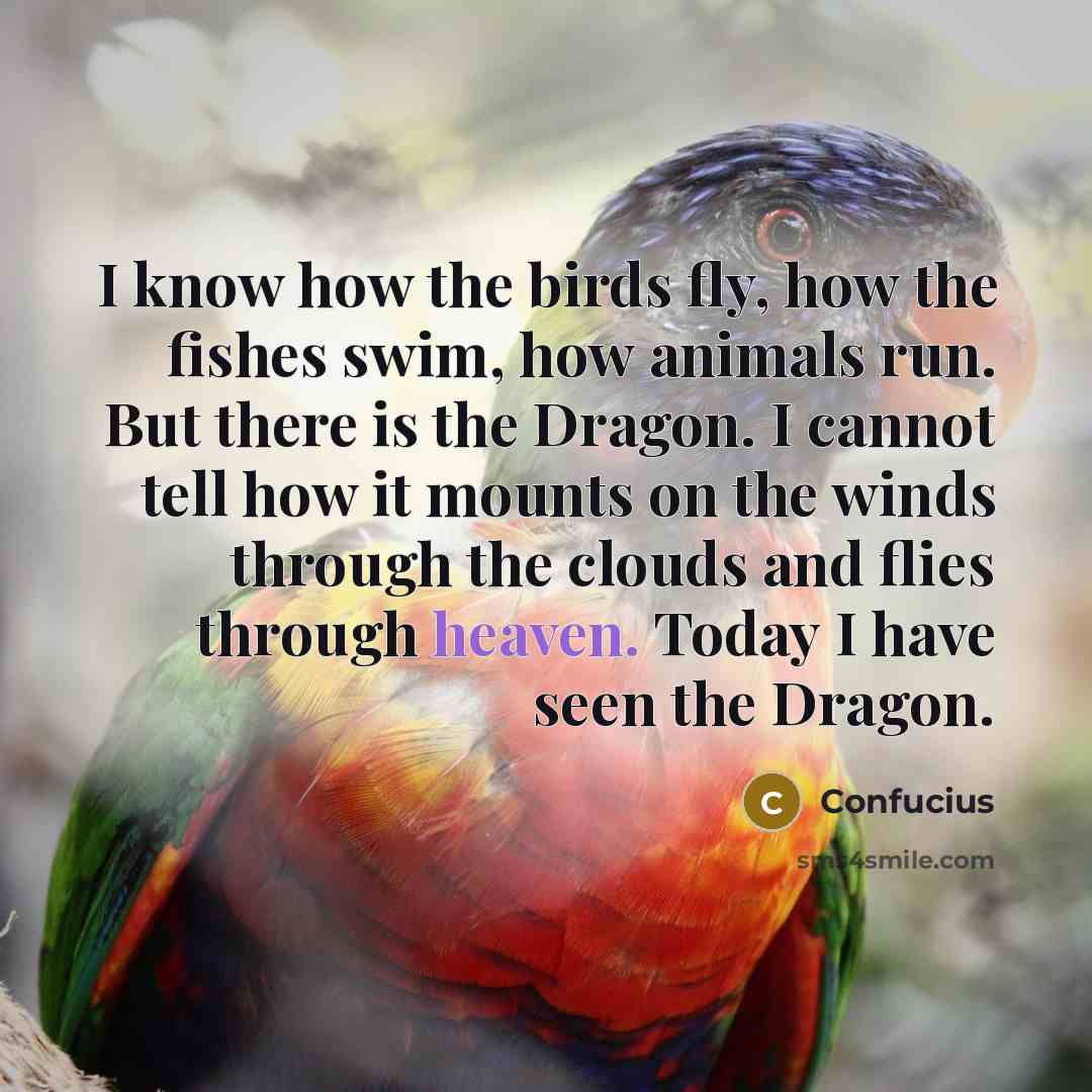 “I know how the birds fly, how the fishes swim,…” quote by Confucius