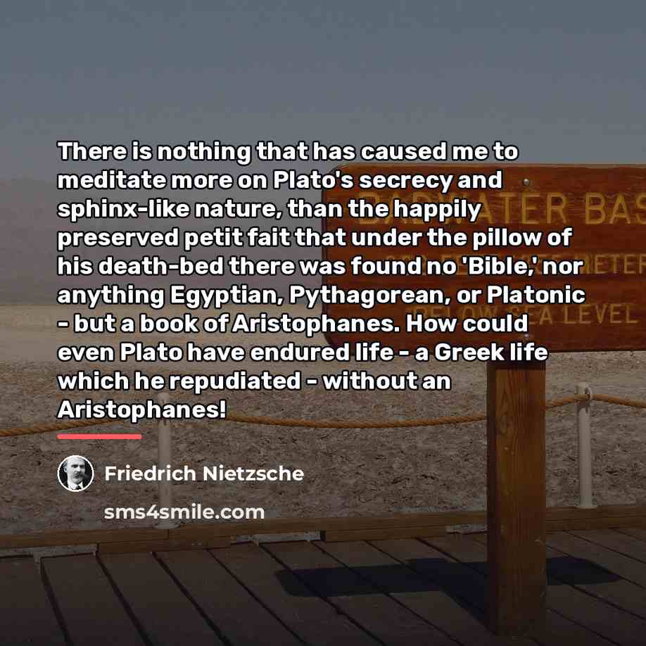 “There is nothing that has caused me to meditate more…” quote by Friedrich Nietzsche