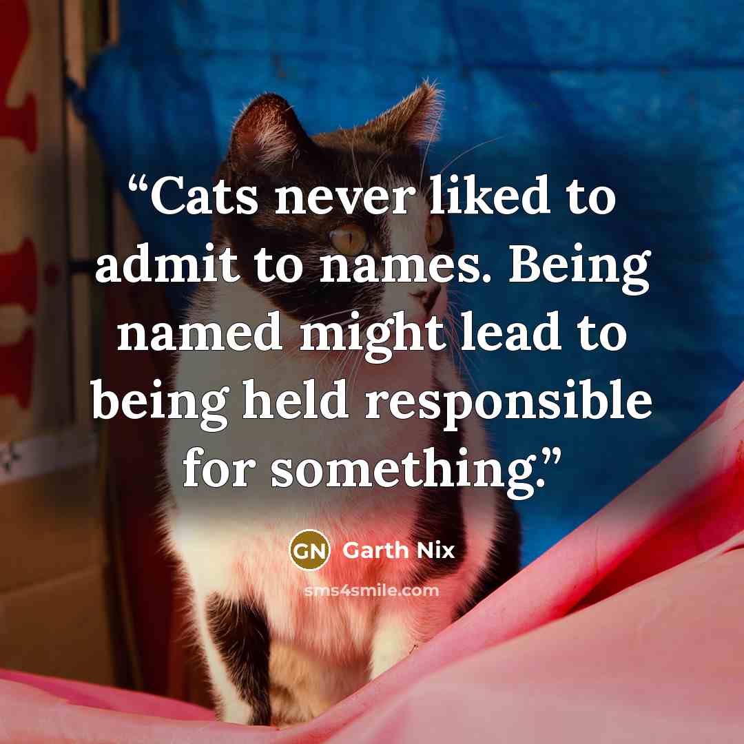“Cats never liked to admit to names. Being named might lead to being held responsible for something.” quote by Garth Nix
