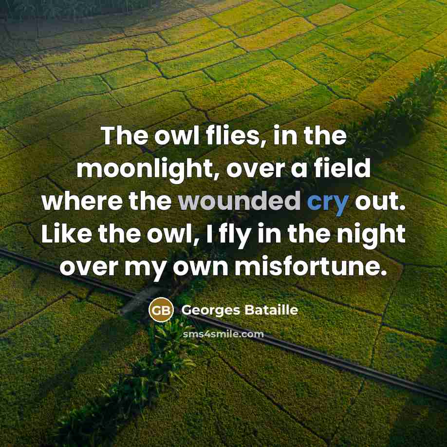 “The owl flies, in the moonlight, over a field where…” quote by Georges Bataille