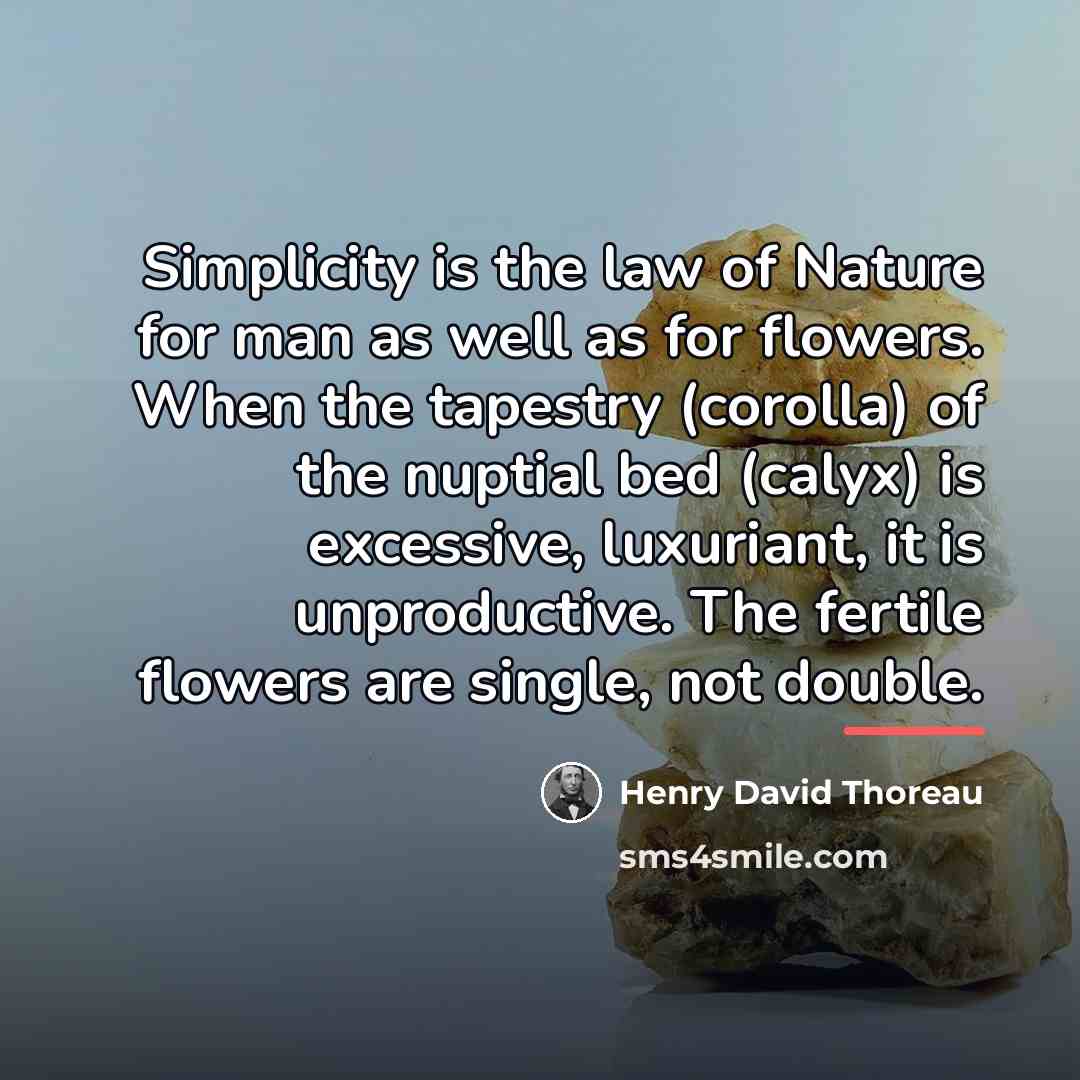 “Simplicity is the law of Nature for man as well…” quote by Henry David Thoreau