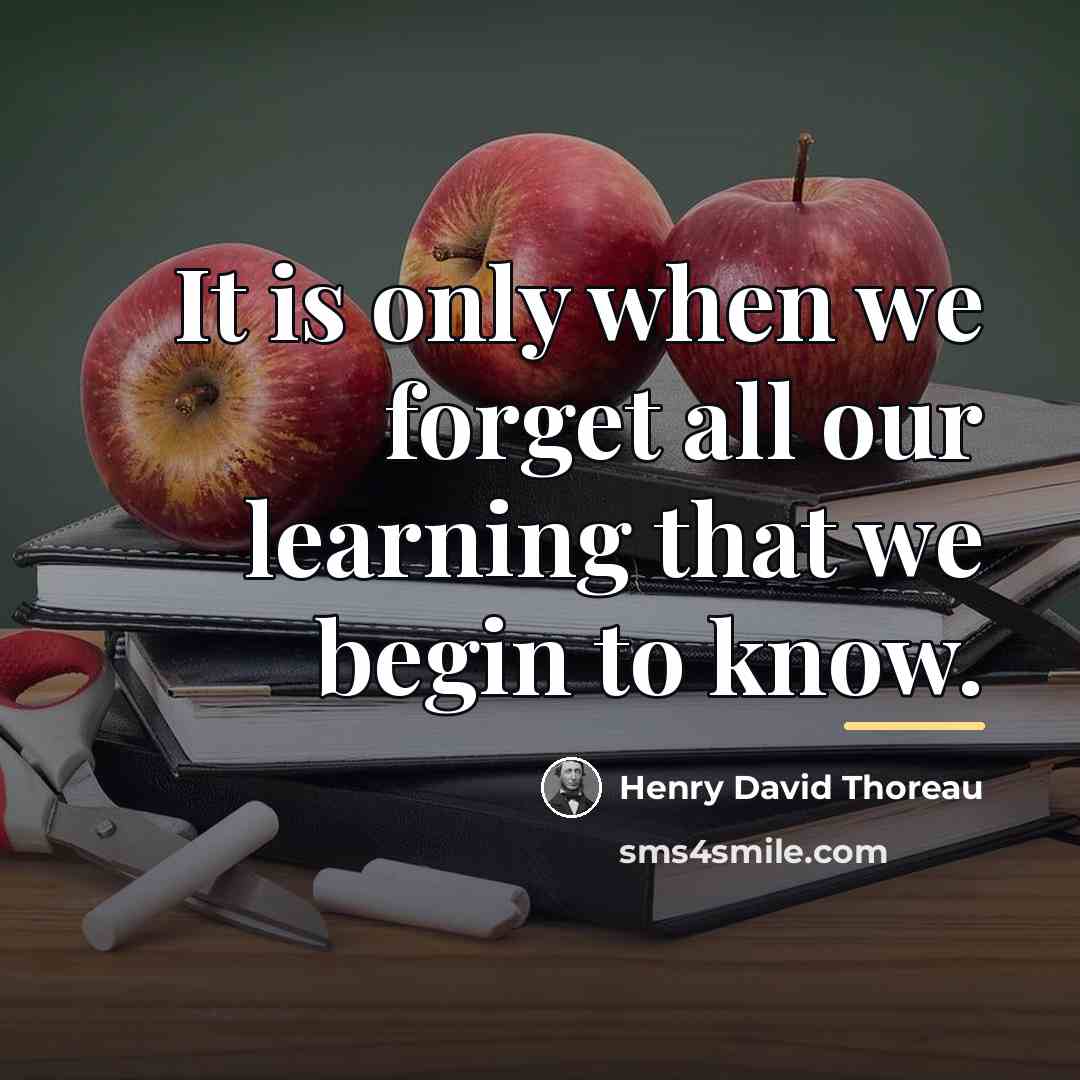 “It is only when we forget all our learning that…” quote by Henry David Thoreau