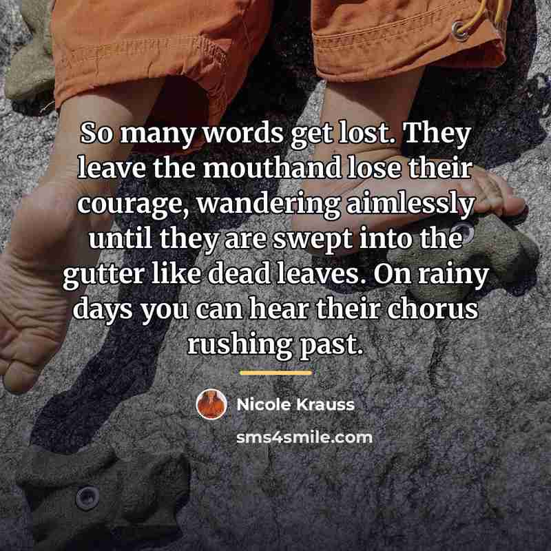 “So many words get lost. They leave the mouthand lose…” quote by Nicole Krauss
