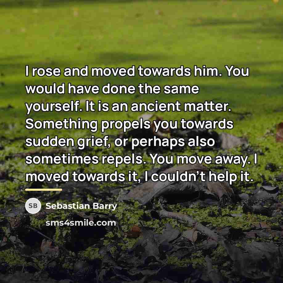 “I rose and moved towards him. You would have done…” quote by Sebastian Barry