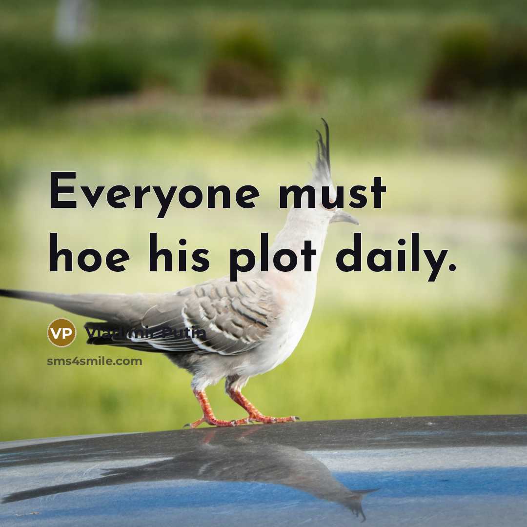 “Everyone must hoe his plot daily.” quote by Vladimir Putin