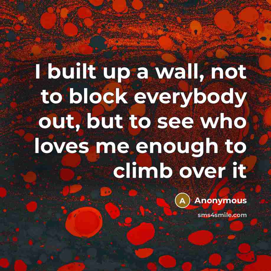 “I built up a wall, not to block everybody out,…” quote by Anonymous