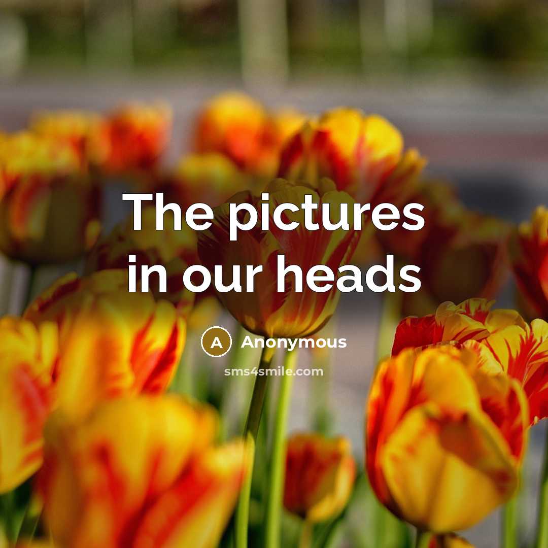 “The pictures in our heads…” quote by Anonymous