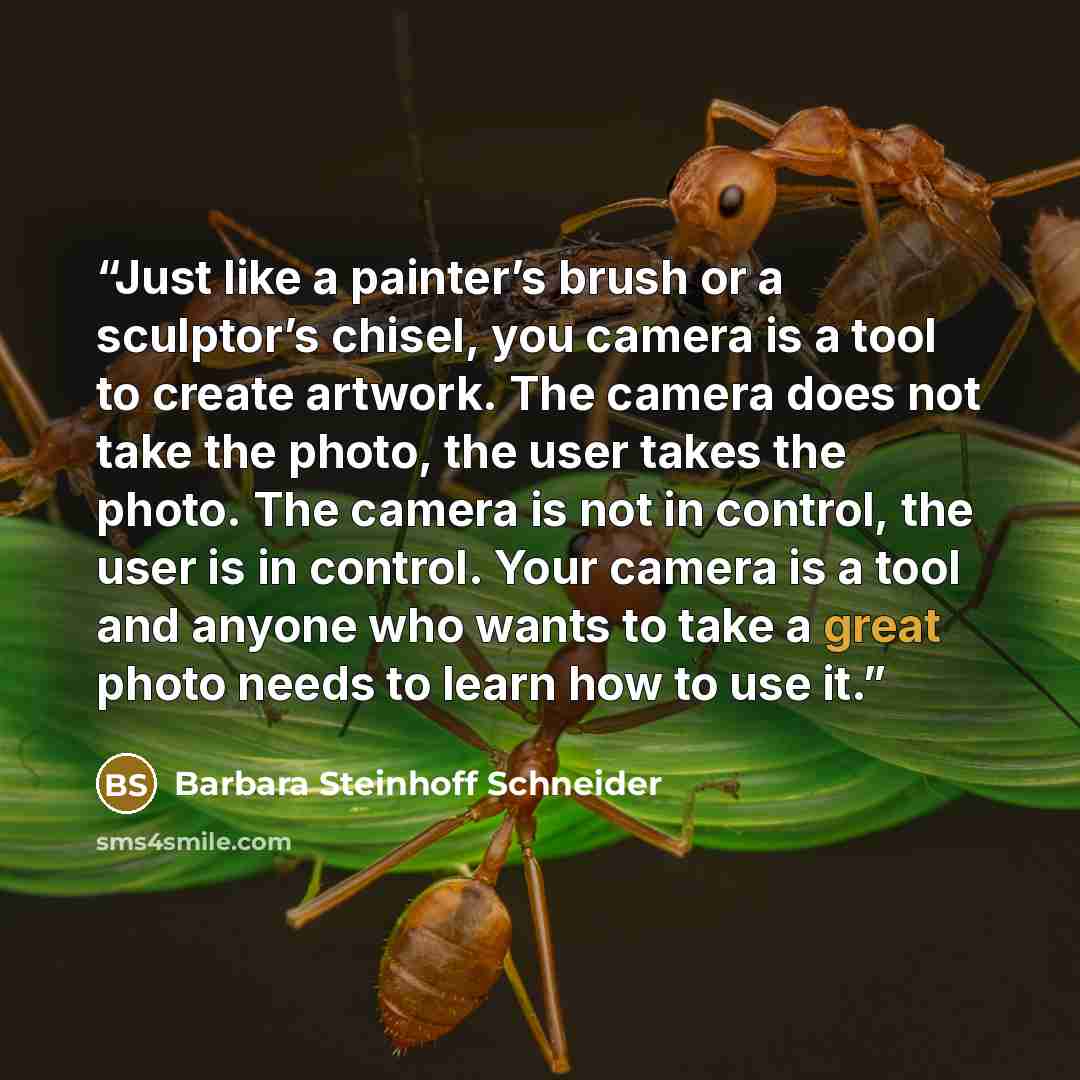 “Just like a painter’s brush or a sculptor’s chisel, you camera is a tool to create artwork. The camera does not take the photo, the user takes the photo. The camera is not in control, the user is in control. Your camera is a tool and anyone who wants to take a great photo needs to learn how to use…” quote by Barbara Steinhoff Schneider
