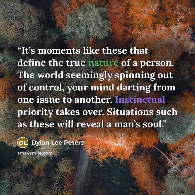 “It’s moments like these that define the true nature of a person. The world seemingly spinning out of control, your mind darting from one issue to another. Instinctual priority takes over. Situations such as these will reveal a man’s soul.” quote by Dylan Lee Peters