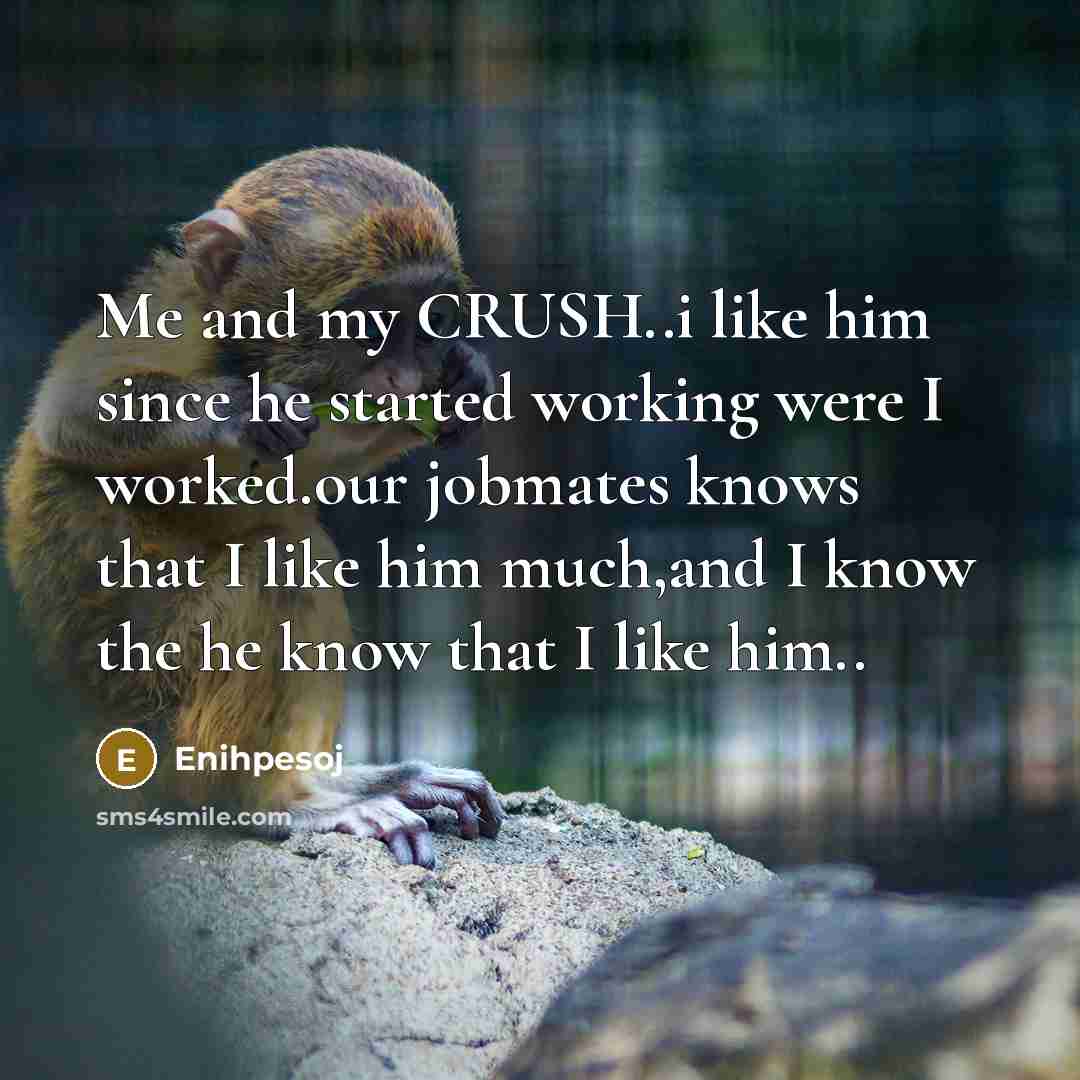 “Me and my CRUSH..i like him since he started working were I worked.our jobmates knows that I like him much,and I know the he know that I like him..” quote by Enihpesoj