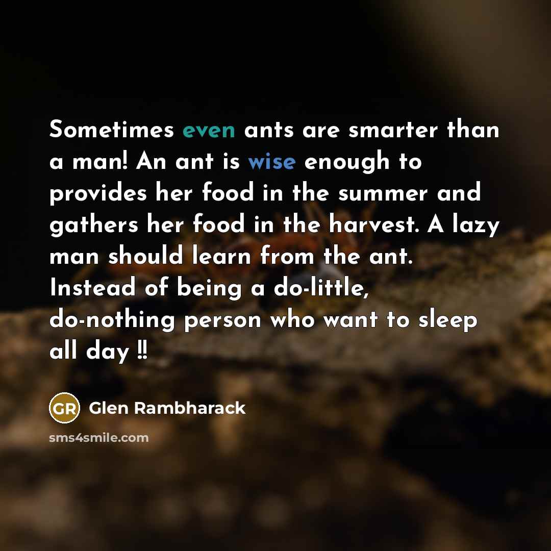 “Sometimes even ants are smarter than a man! An ant is wise enough to provides her food in the summer and gathers her food in the harvest. A lazy man should learn from the ant. Instead of being a do-little, do-nothing person who want to sleep all day !!” quote by Glen Rambharack