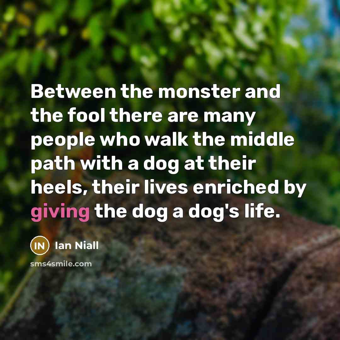 “Between the monster and the fool there are many people who walk the middle path with a dog at their heels, their lives enriched by giving the dog a dog's life.” quote by Ian Niall