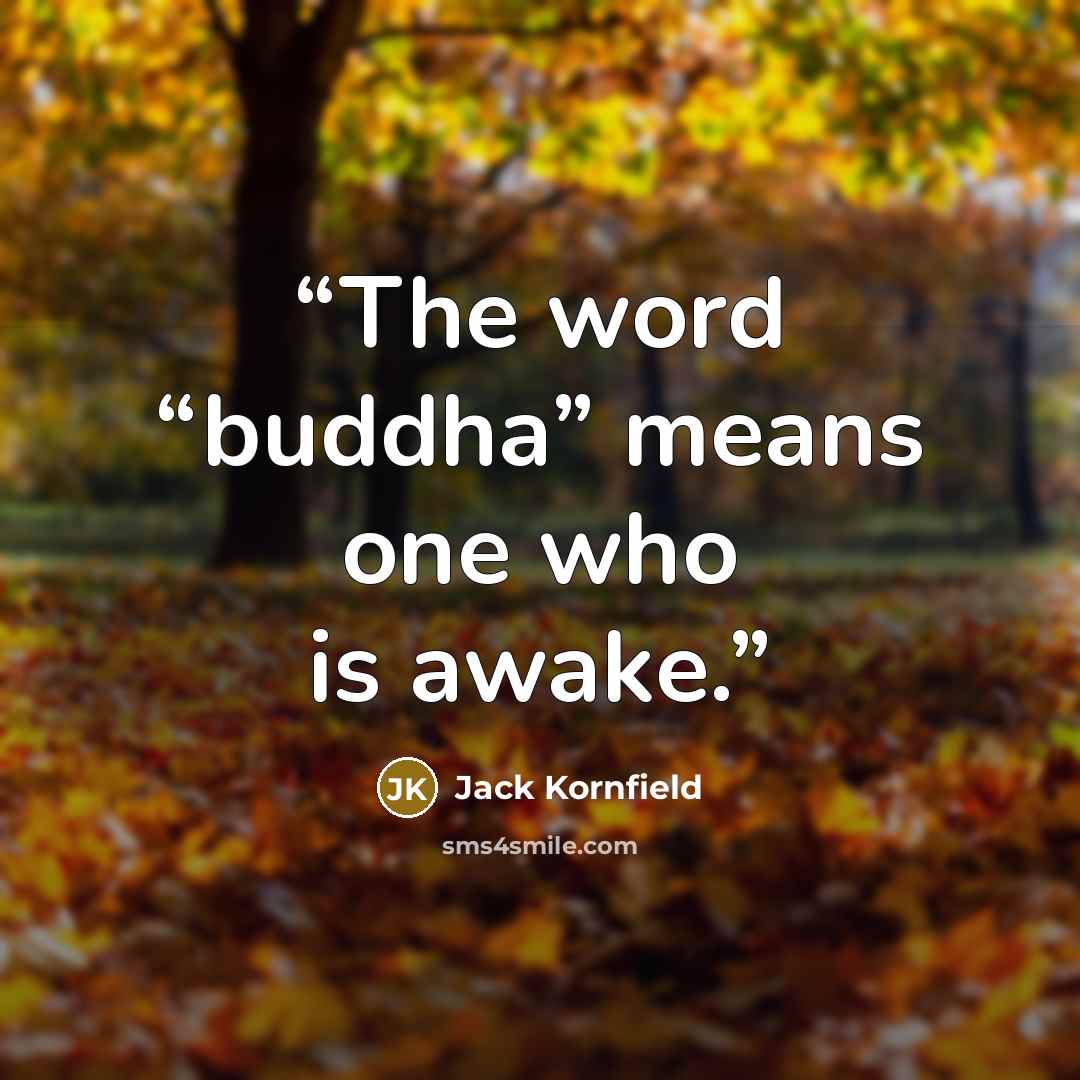 “The word “buddha” means one who is awake.” quote by Jack Kornfield